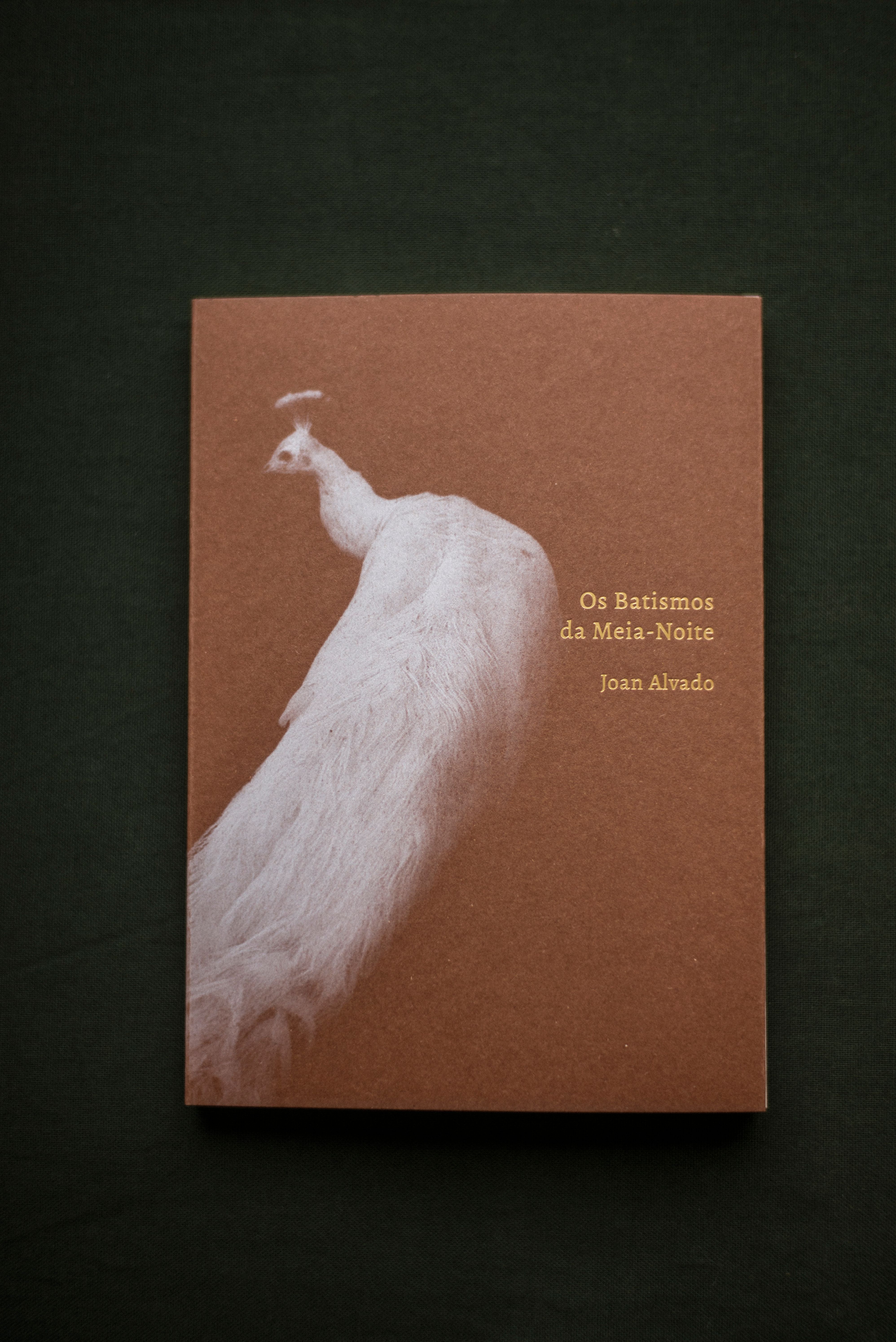 OS BATISMOS DA MEIA-NOITE de Joan Alvado.jpg